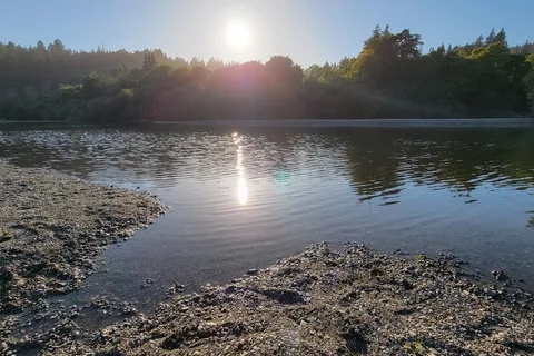 Casini Ranch Family Campground