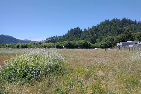 Casini Ranch Family Campground