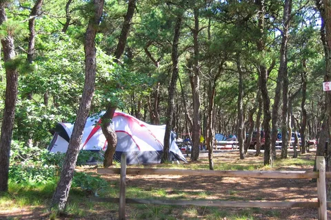 Adventure Bound Camping Resorts - Cape Cod