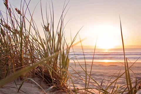 Adventure Bound Camping Resorts - Cape Cod