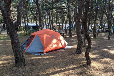Adventure Bound Camping Resorts - Cape Cod
