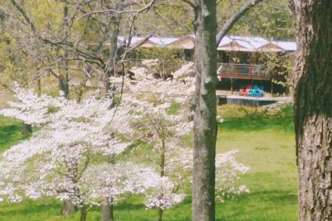 Ozark Cabins RV