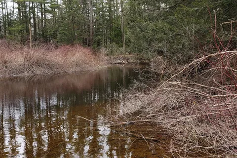 The Green Gate Campground