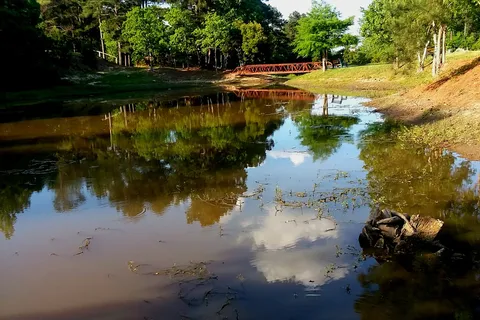 Pavilion RV Park