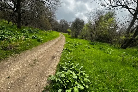 Dominion Oaks RV Park