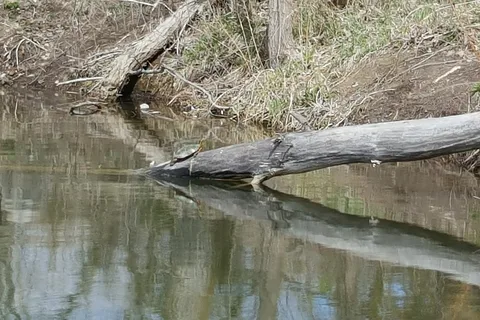 Sandy Channel State Recreation Area