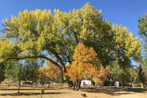 Wyatt's Hideaway Campground