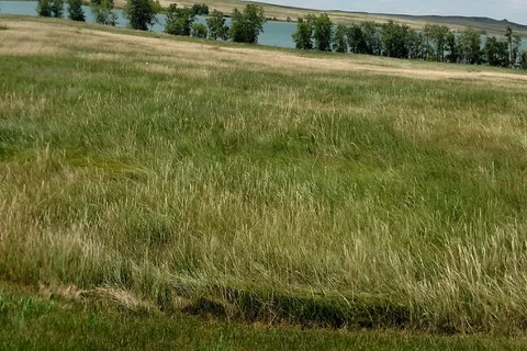 Wyatt's Hideaway Campground