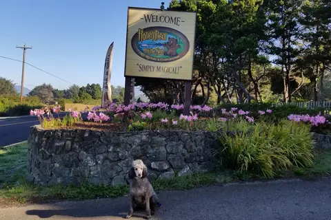 Honey Bear By the Sea RV Resort
