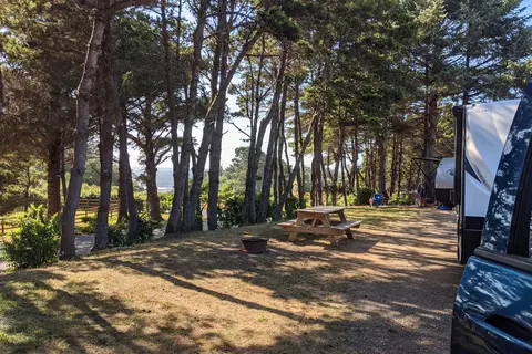 Honey Bear By the Sea RV Resort