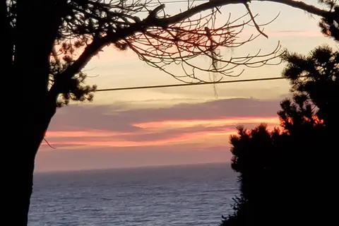 Honey Bear By the Sea RV Resort