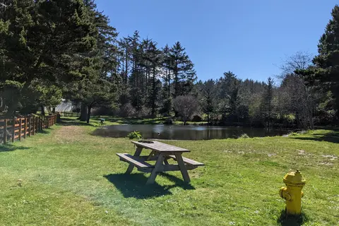 Honey Bear By the Sea RV Resort