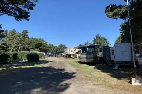 Honey Bear By the Sea RV Resort