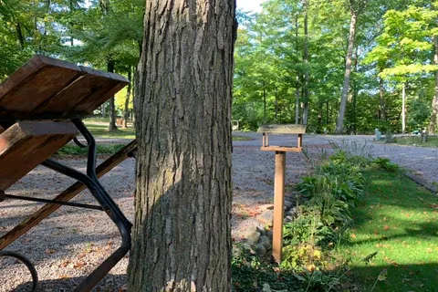 Holiday Park Campground