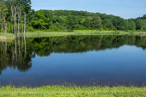 Hickory Hollow Campground