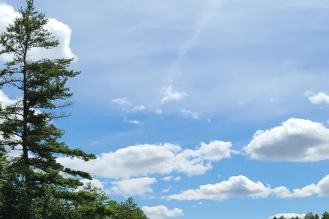 Swanzey Lake Camping Area