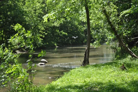 Sunset Springs RV Resort