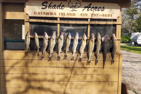 Shade Acres Campground and Cottages