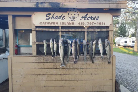 Shade Acres Campground and Cottages