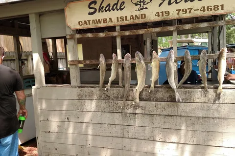 Shade Acres Campground and Cottages