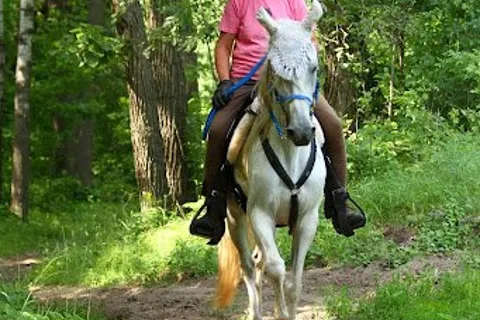 Sheyenne Oaks Campground