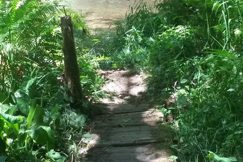 Winston Creek - Department of Natural Resources