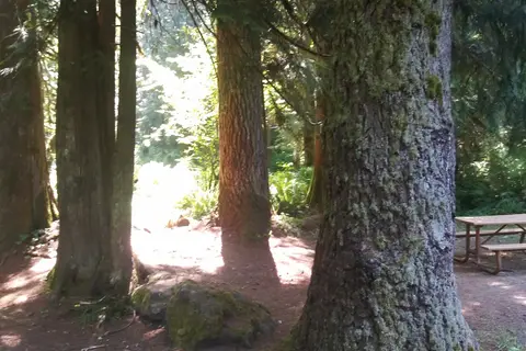 Winston Creek - Department of Natural Resources