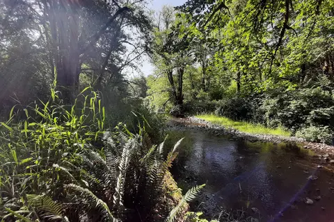 Winston Creek - Department of Natural Resources