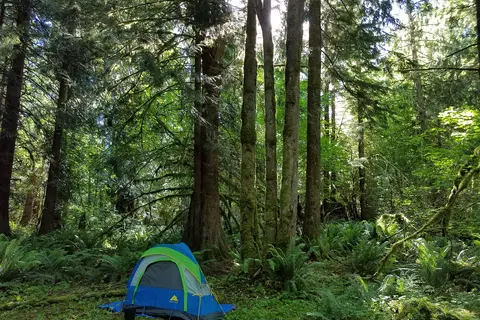 Winston Creek - Department of Natural Resources