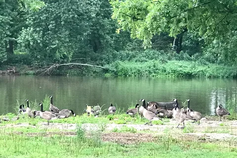 Riverbend Campground