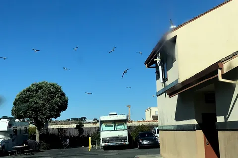 Candlestick RV Park