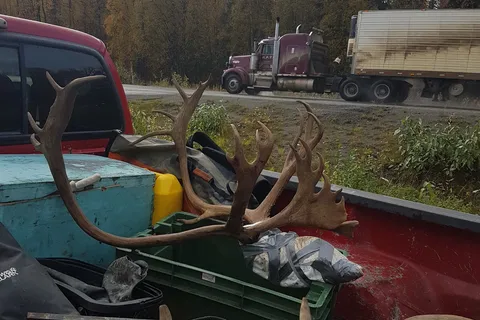 Trapper Creek Inn RV Park