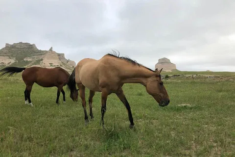 Peaceful Prairie Campsites