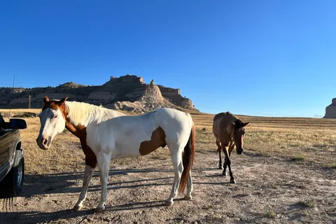 Peaceful Prairie Campsites