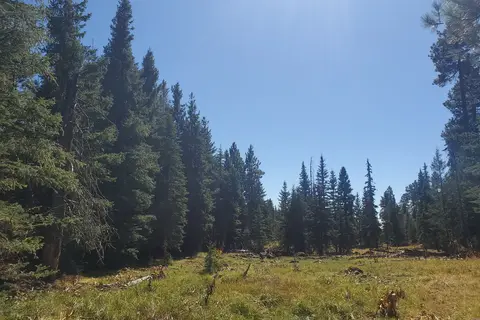 Drift Fence Lake Apache Indian Res