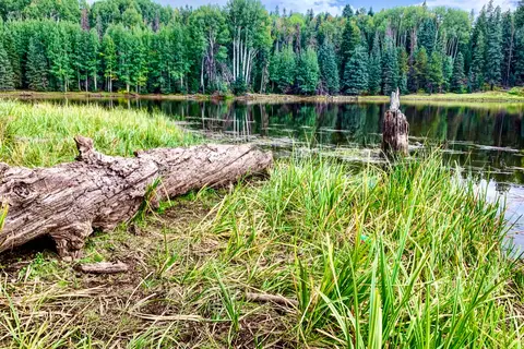 Drift Fence Lake Apache Indian Res