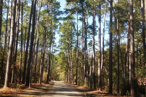 Aiken State Park