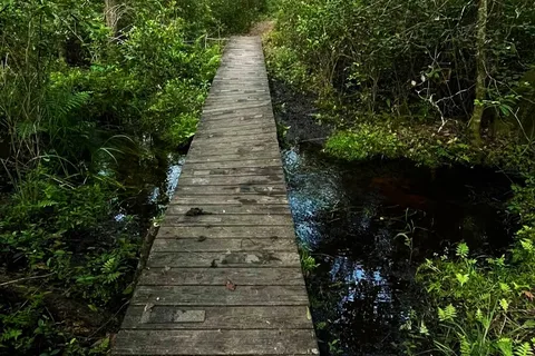 Aiken State Park