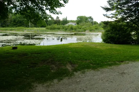 Millpond Campground