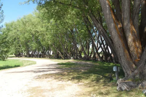 Jolley Camper RV and Cottages