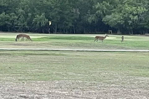 Lockhart State Park