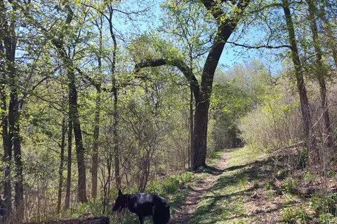 Lockhart State Park