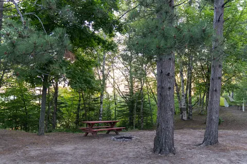 Woodland Park Campground