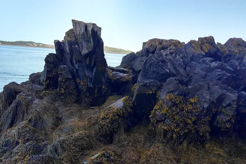 Seaview Campground and Cottages