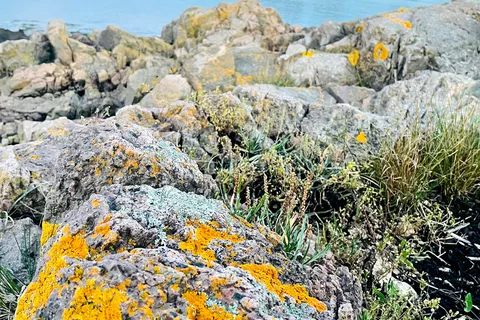 Seaview Campground and Cottages