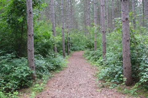 Silver Springs Campsites