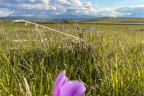 Chief Mountain Cabins & Campground