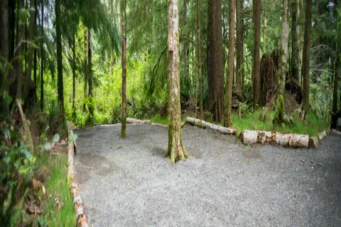 West Coast Campground
