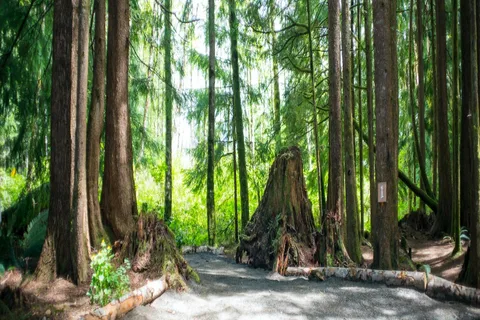 West Coast Campground