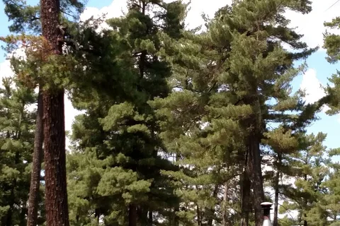 Big Falls Campground and Horse Camp